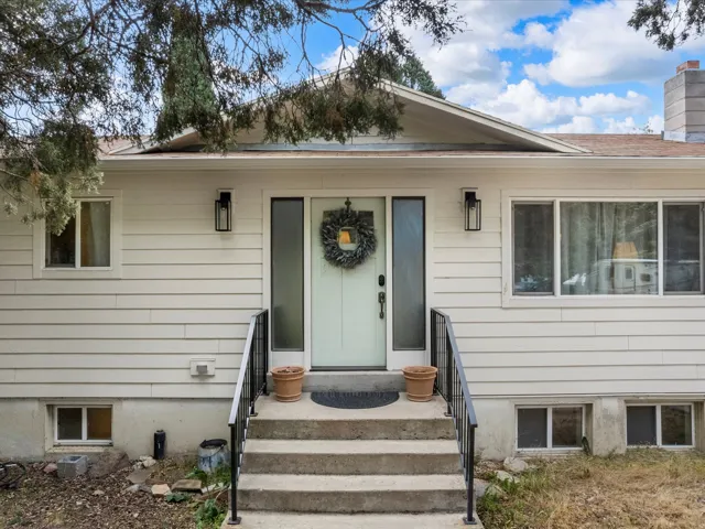 Property entrance featuring concrete steps with black metal railings, a light-colored entry door with frosted side panels, and two exterior wall lanterns