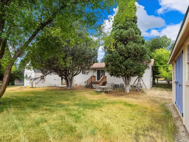 Expansive backyard with a manicured lawn, established trees, and a utility shed