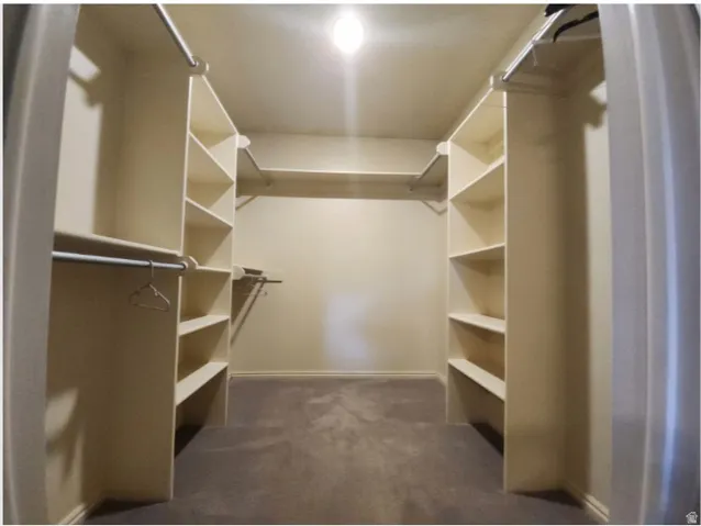Primary Bedroom Walk-in closet with carpet flooring