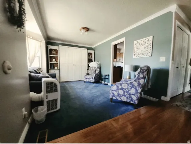 Living area featuring blue carpeting and light blue-grey walls with white crown molding