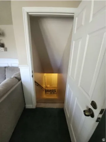 Basement Stairwell featuring a wood handrail, paneled door, and dark green carpeted flooring