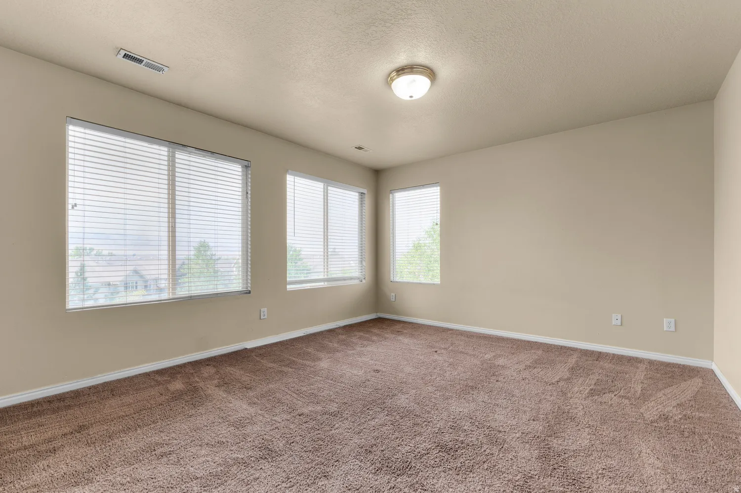 Spacious room featuring neutral-toned walls, textured brown carpeting, multiple windows with blinds, and an overhead flush-mount light fixture