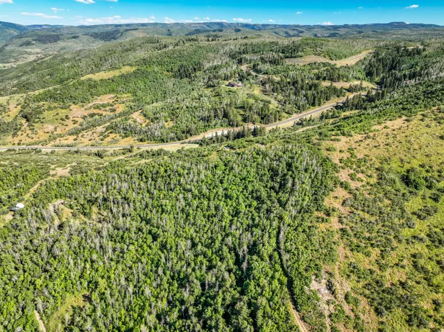 Expansive mountainous terrain featuring diverse tree coverage and a visible roadway traversing the landscape