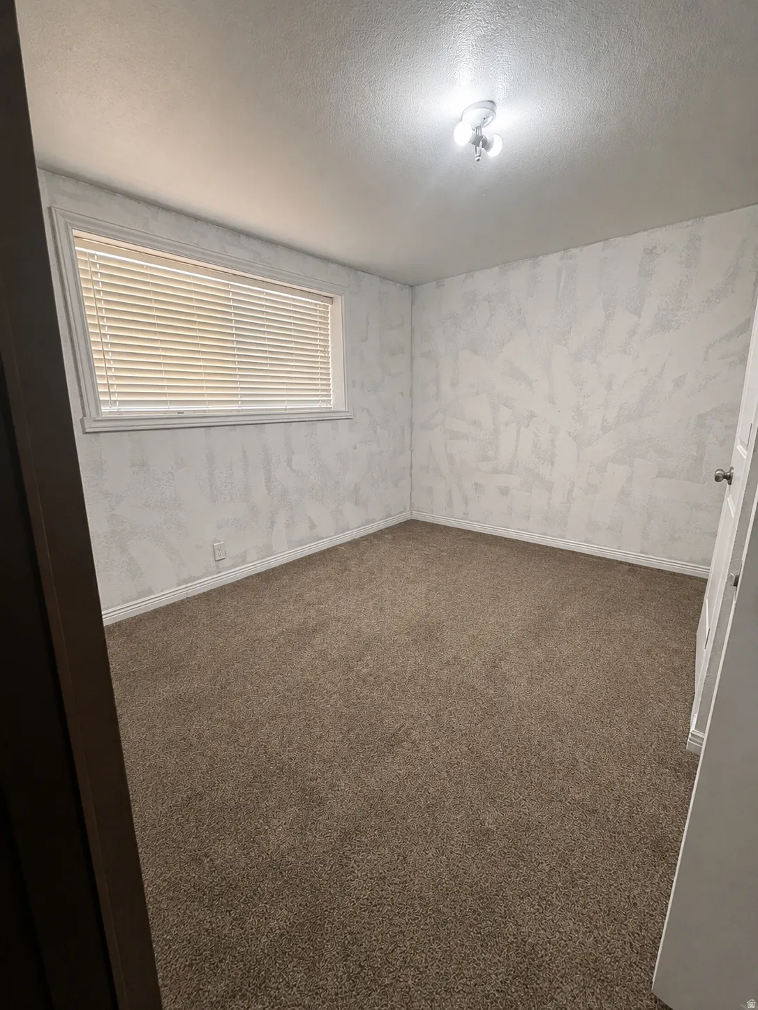 Carpeted room featuring a window with blinds, a white trim package, textured wall finish, and ceiling-mounted lighting