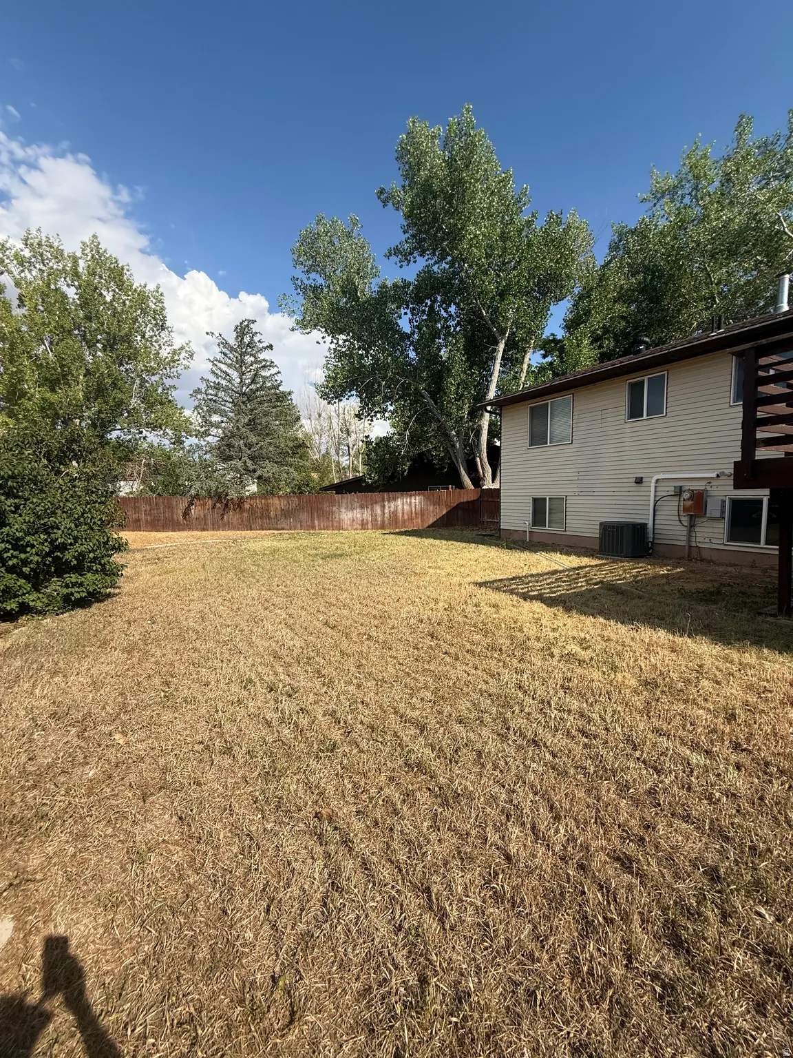Expansive backyard area featuring a brown privacy fence and mature trees