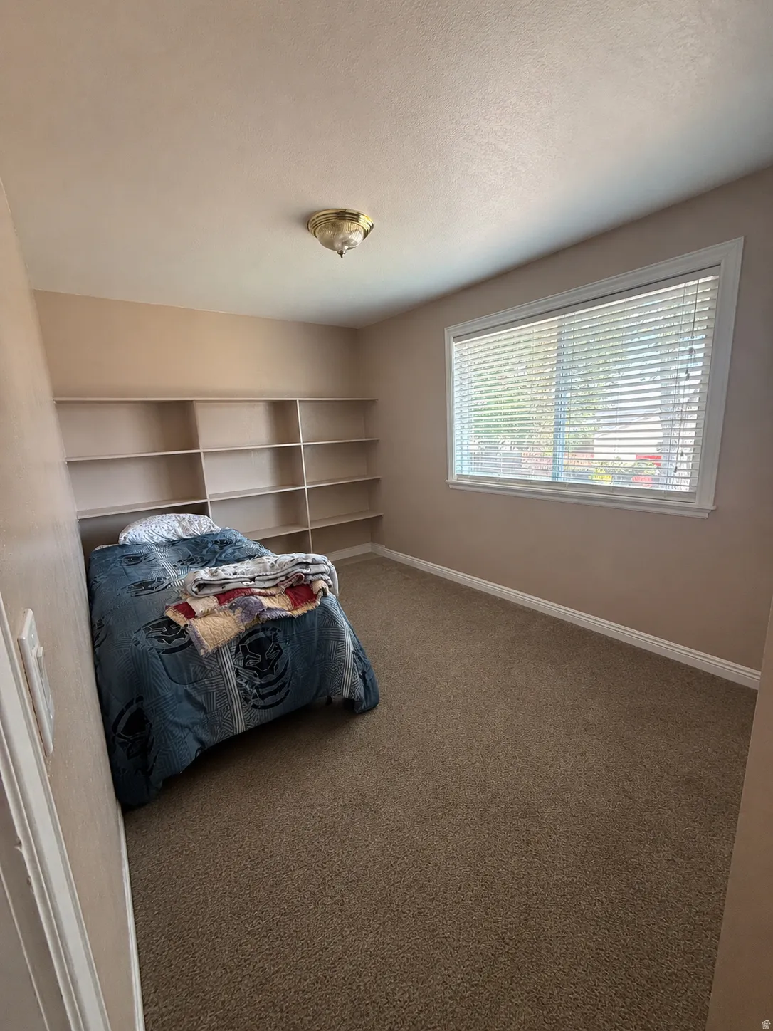 Room featuring full-wall built-in shelving, a large window with horizontal blinds, and neutral-toned carpeting