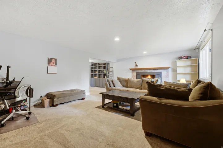 Basement family room