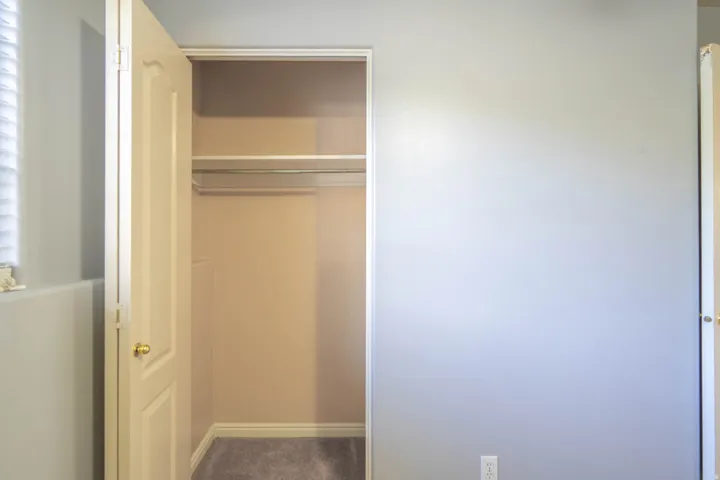 Recessed closet featuring a single hanging rod and upper shelf, carpet flooring, and a paneled door with a brass knob