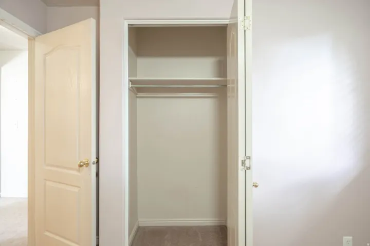 Built-in closet featuring an upper shelf and hanging rod, light-toned walls, and carpet flooring
