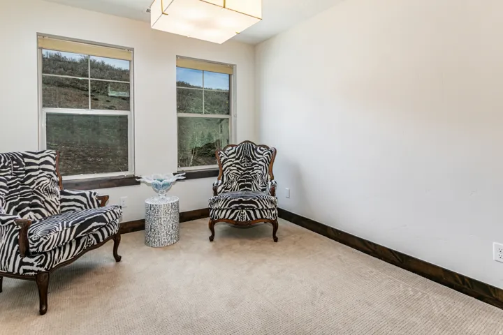 Carpeted room featuring two large windows with dark wood sills, white walls, and a rectangular ceiling light fixture