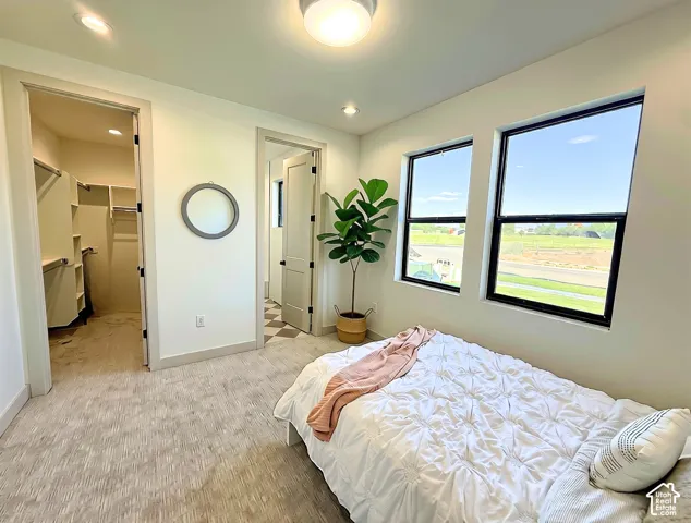 Bedroom featuring two large windows with black trim, textured carpet flooring, and a walk-in closet with built-in shelving