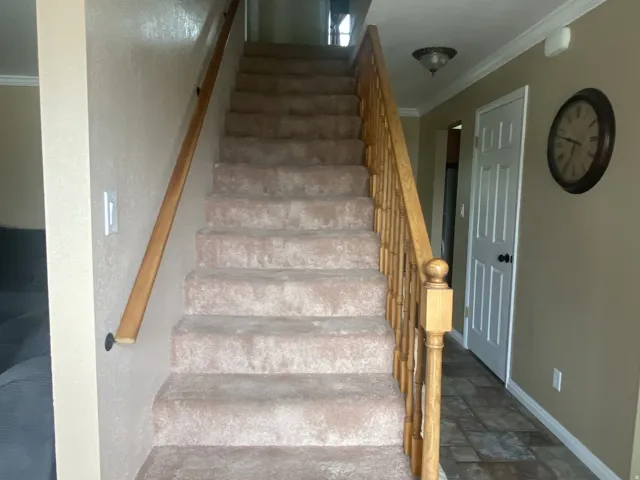 Carpeted staircase featuring a light wood-finish handrail and balusters