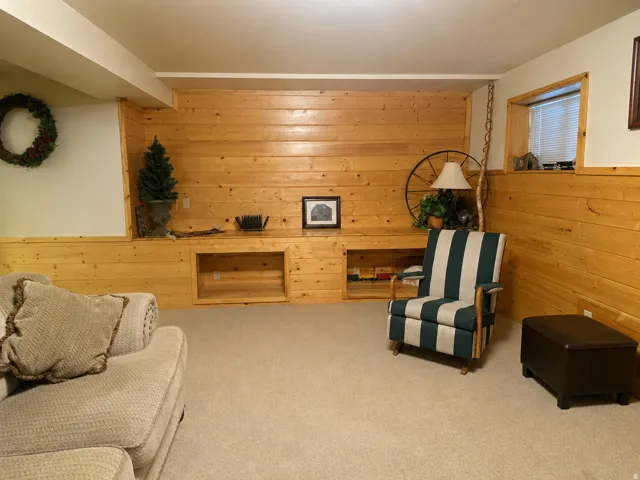 Light-toned wood paneling with built-in shelving, plush carpet flooring, and a recessed window with blinds