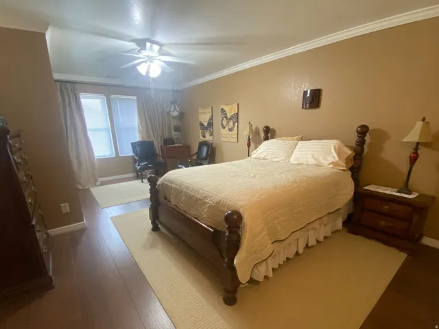 Spacious primary bedroom featuring wood-finish flooring, a ceiling fan, and crown molding.