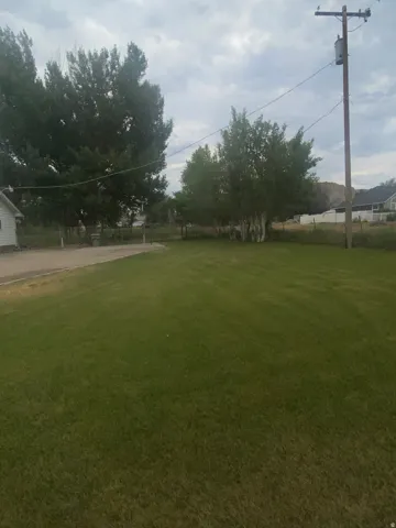 Expansive green lawn with mature trees and a paved driveway leading to a white outbuilding