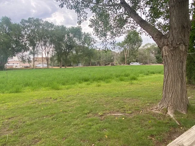 Expansive green space featuring a mature tree in the foreground