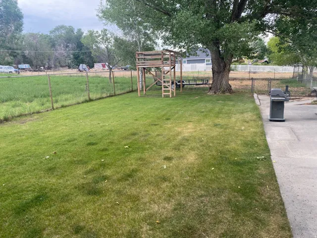Expansive backyard featuring a large established tree, a grassy lawn, chain-link fencing, and a concrete patio section
