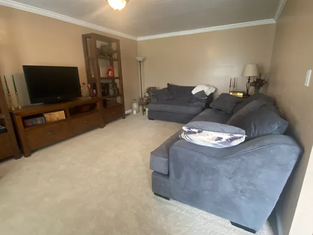 Carpeted interior space featuring crown molding and neutral wall tones