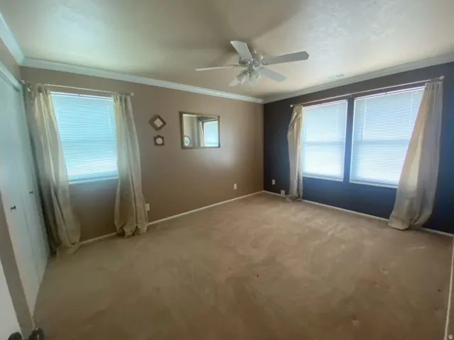 3rd bedroom showing 2 large windows, a ceiling fan, crown molding, and neutral-toned carpeting
