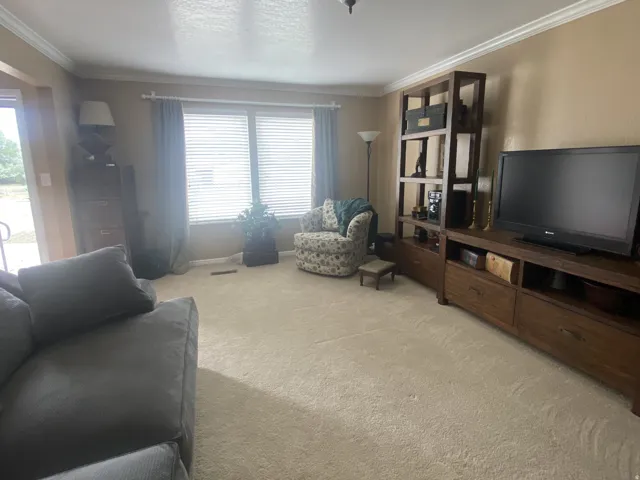 Carpeted living area featuring a large window with blinds, crown molding, a ceiling-mounted light fixture, and a glass-paneled exterior door.