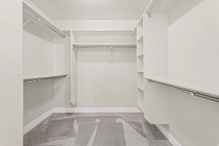 Walk-in closet featuring built-in shelving, multiple hanging rods, and carpet flooring