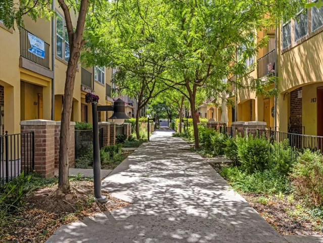 Tree-lined pedestrian pathway with mature trees and landscaping