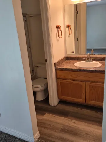 Bathroom vanity featuring a laminate countertop with an integrated sink, wood-finish flooring, and a mirrored medicine cabinet