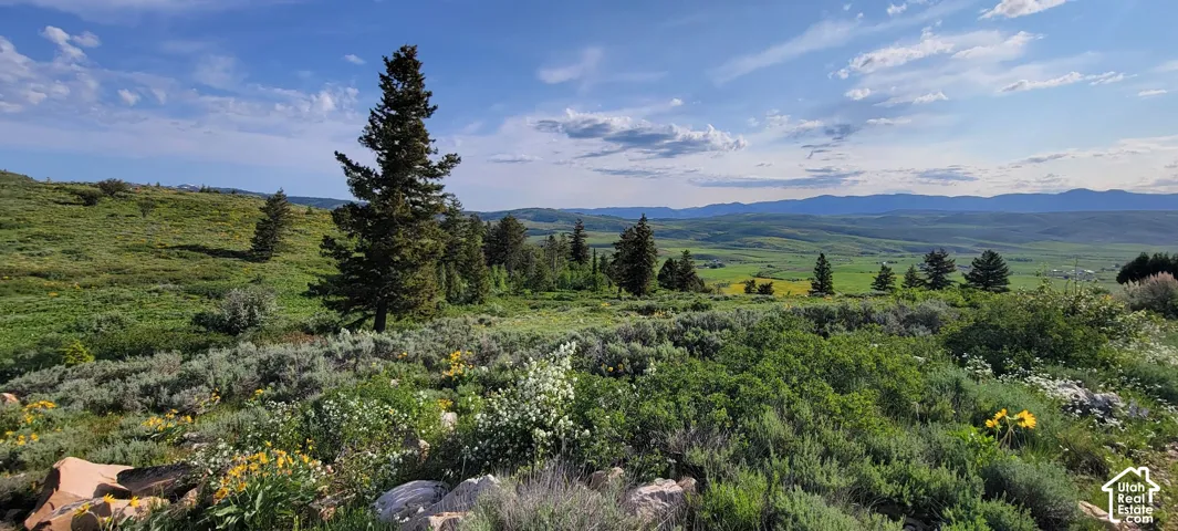 Expansive landscape featuring rolling hills, mature evergreen trees, and distant mountain ranges under a partly cloudy sky