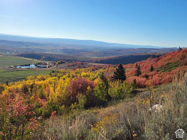 Expansive hillside property with diverse autumn foliage, featuring distant cultivated fields and a visible pond
