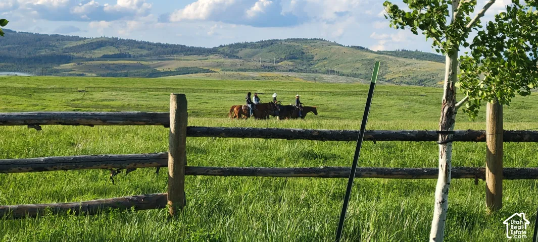 Expansive green pasture, rustic wood rail fencing, distant rolling hills, and a prominent birch tree