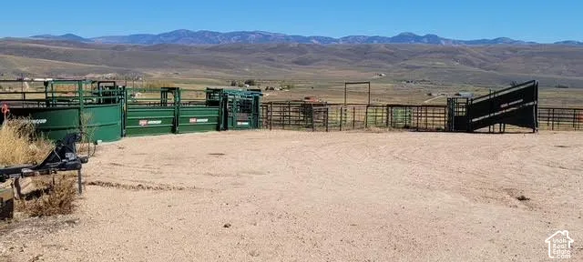 Livestock handling system featuring green metal corrals, extensive fencing, and a large open dirt area