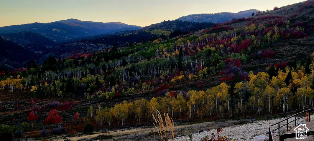 Mountainous landscape featuring diverse foliage and a distant mountain range