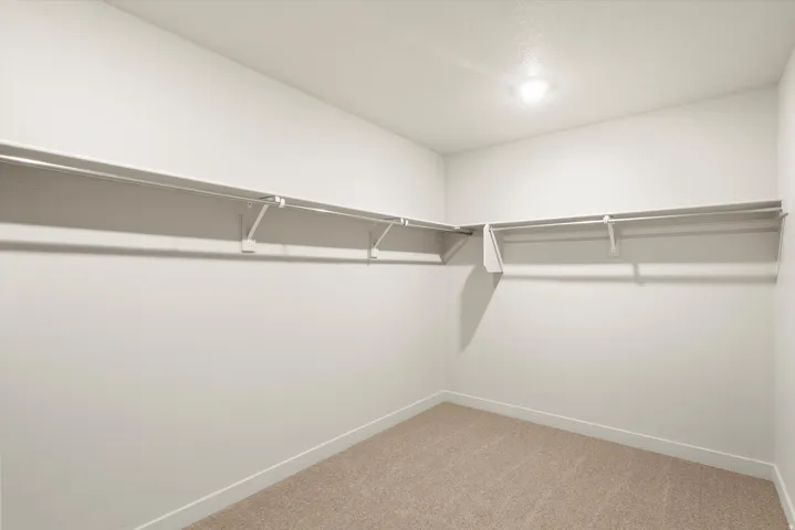 Walk-in closet with carpet flooring, white walls, built-in shelving, and a ceiling light fixture