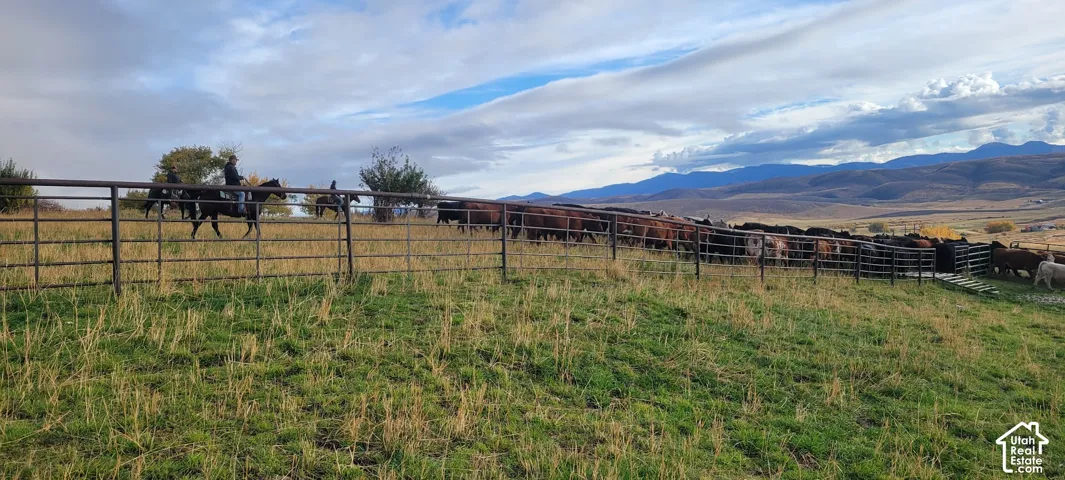 Expansive fenced pastureland with distant mountain backdrop