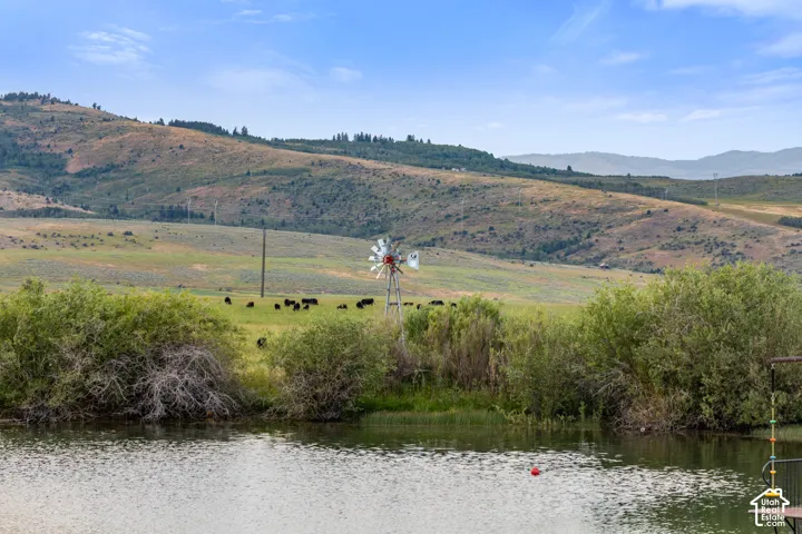 Expansive water feature with natural surroundings