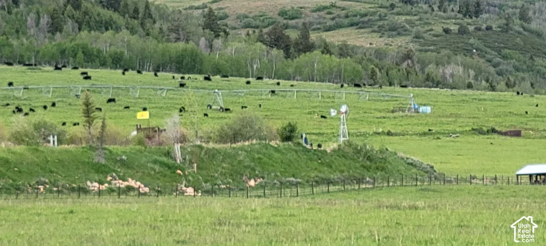 Expansive green pastureland with distant treeline, featuring a visible windmill and fencing