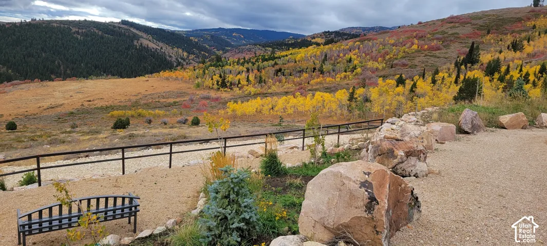 Expansive mountain scenery with diverse foliage, featuring a gravel pathway, a black metal railing, and natural rock accents