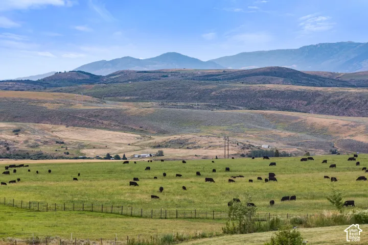 Expansive green pastures with rolling hills and distant mountains