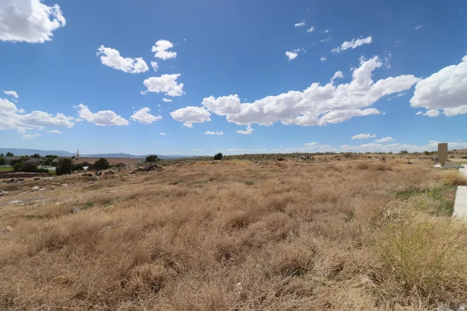 Expansive land offering a wide-open terrain with natural vegetation