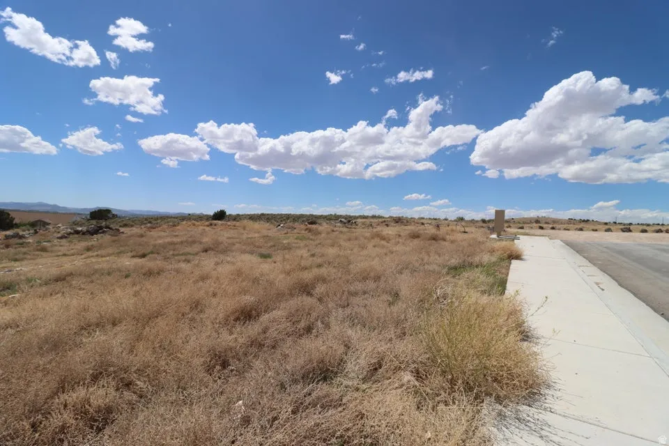 Expansive vacant lot featuring natural desert vegetation