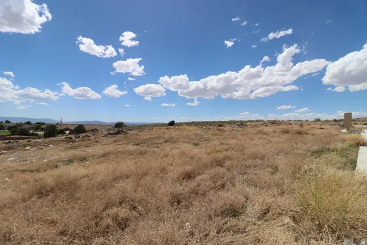 Expansive land offering a wide-open terrain with natural vegetation