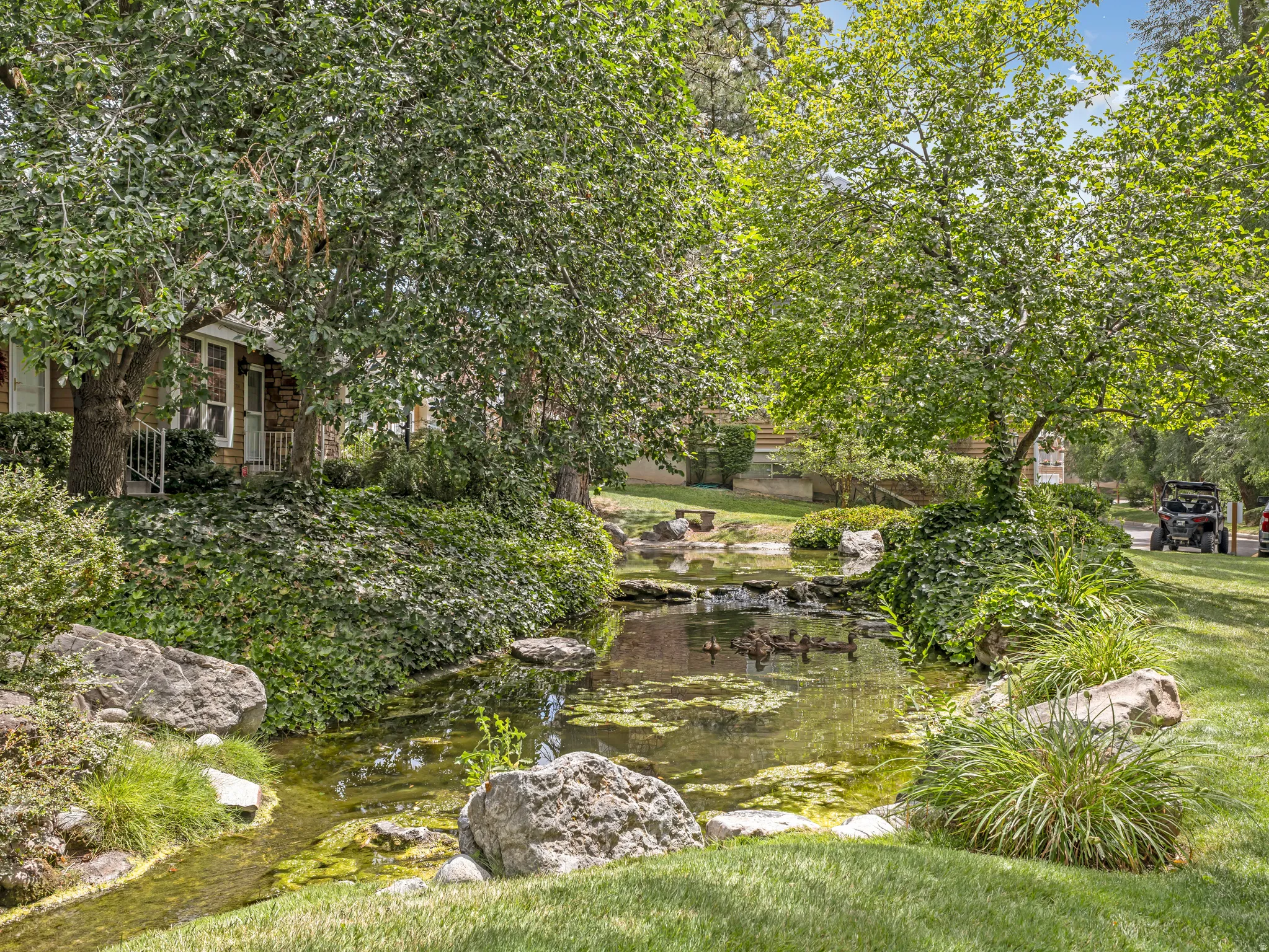 Natural water feature with surrounding boulders, mature trees, and lush ground cover