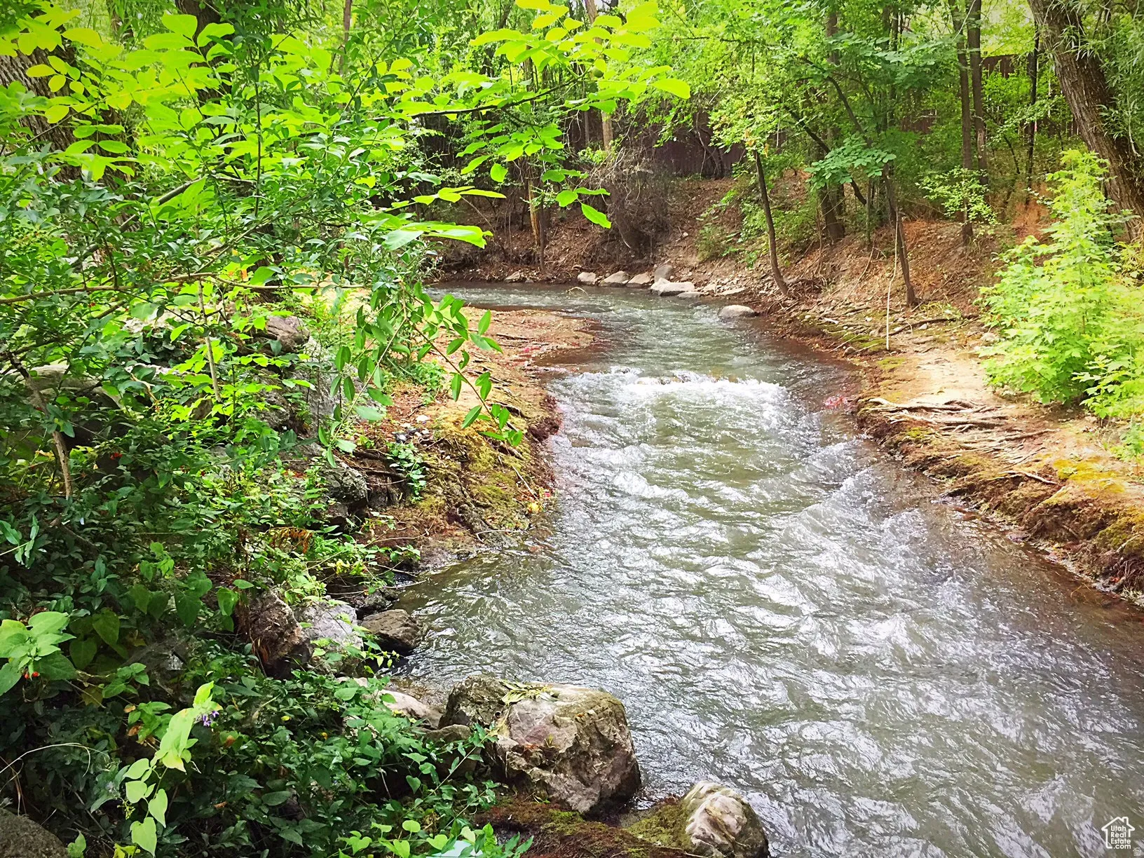 View of Brook