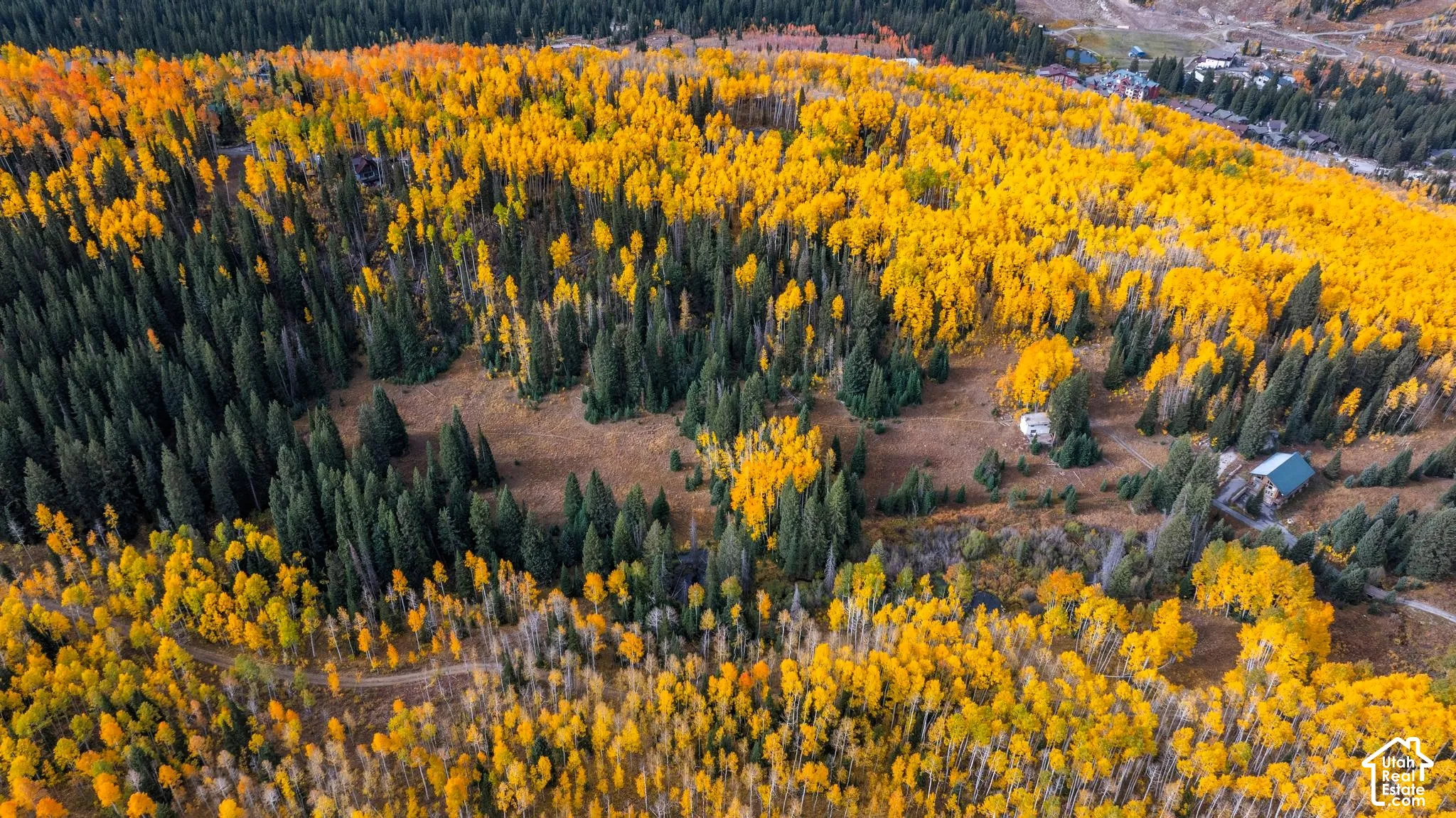 Two open meadows.