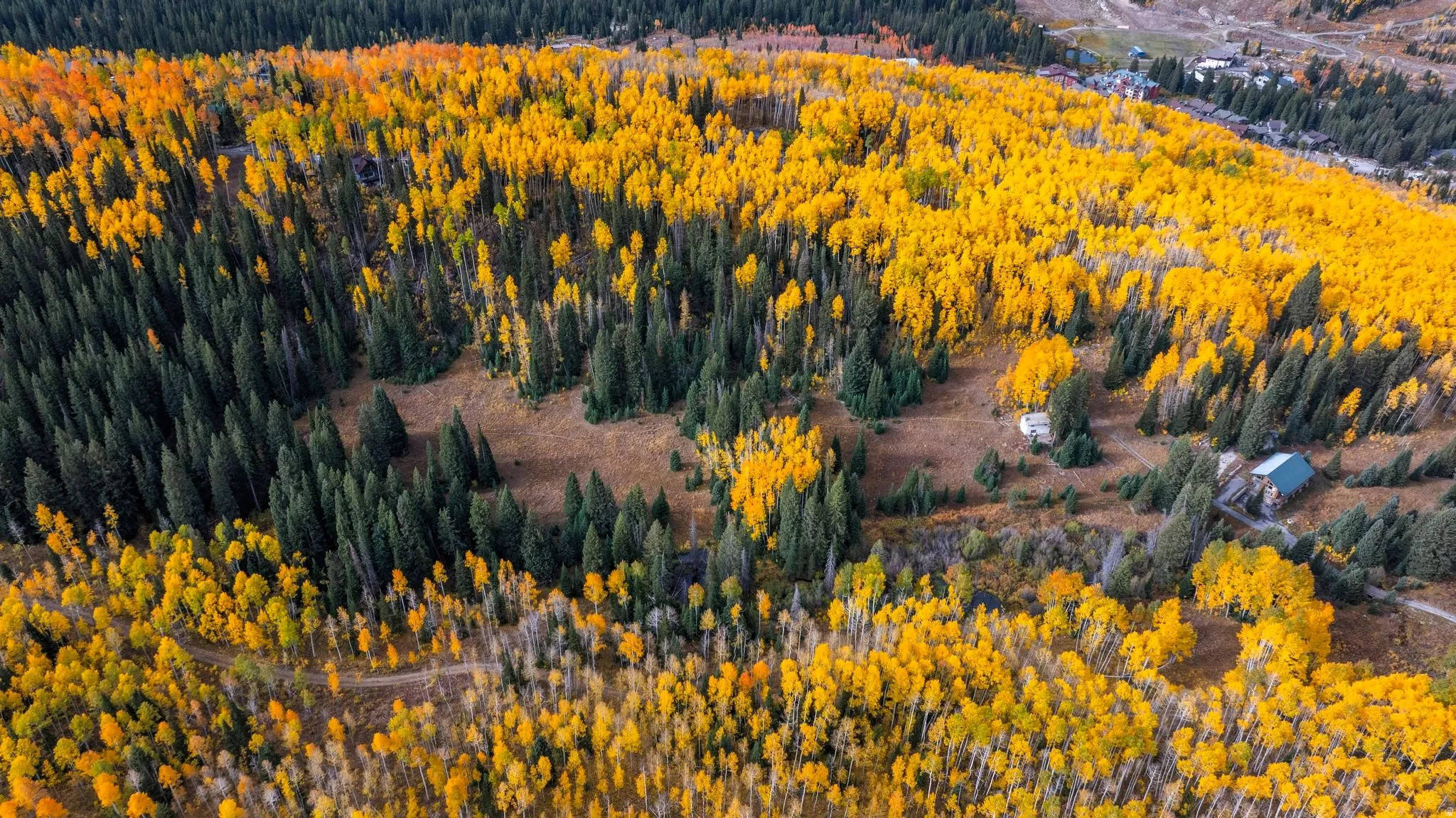 Two open meadows.