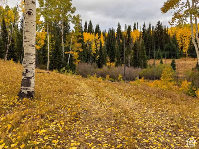 12490 E Old Stage Rd, Brighton, Utah 84121