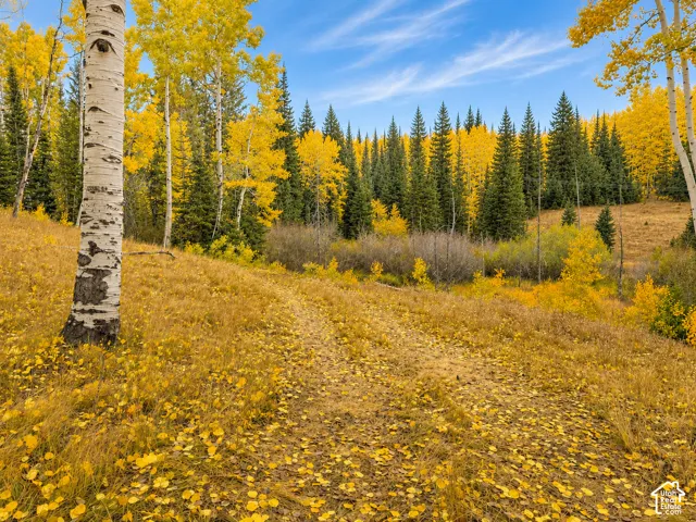 12490 E Old Stage Rd, Brighton, Utah 84121