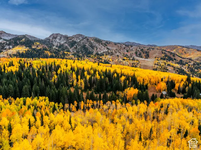 12490 E Old Stage Rd, Brighton, Utah 84121