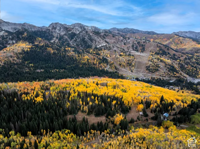 12490 E Old Stage Rd, Brighton, Utah 84121