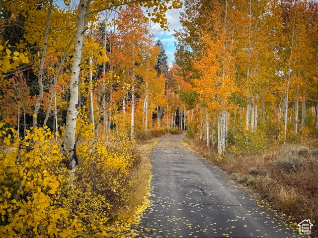 12490 E Old Stage Rd, Brighton, Utah 84121